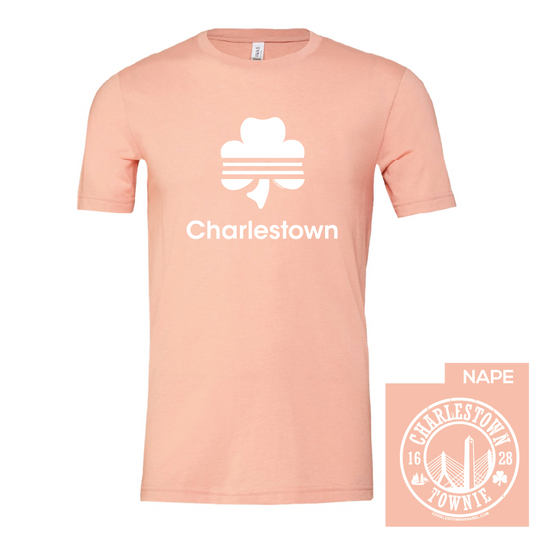 Charlestown Stripes Tee