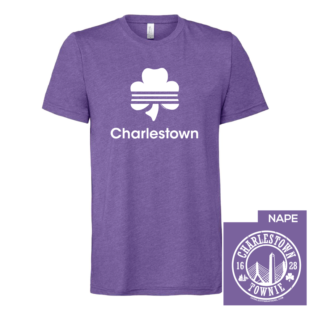 Charlestown Stripes Tee